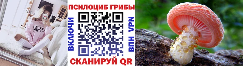 darknet наркотические препараты Хвалынск Галлюциногенные грибы Psilocybine cubensis